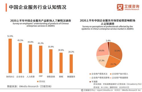 艾媒咨詢2021上半年中國(guó)企業(yè)服務(wù)專題研究報(bào)告 信息咨詢服務(wù)